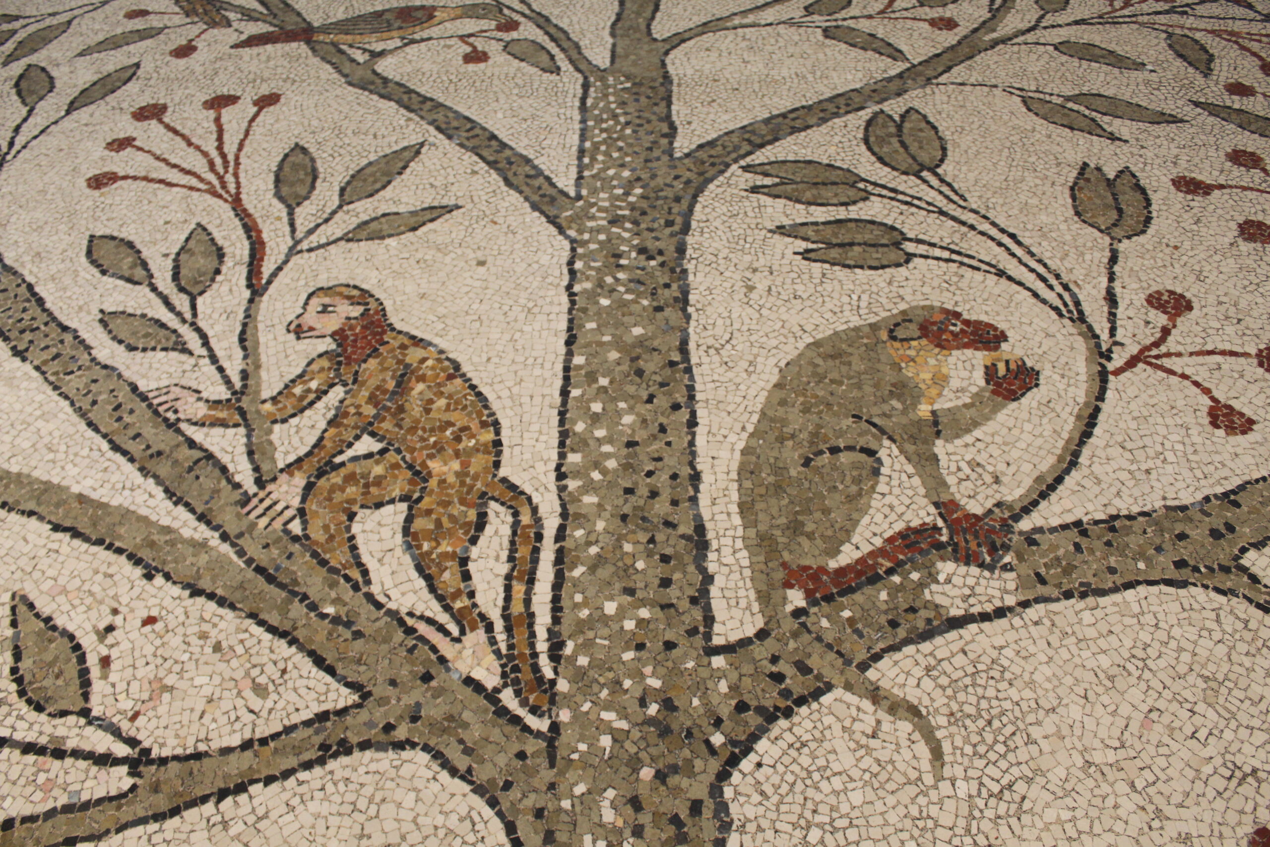 pavimento musivo della Chiesa di San Nicola