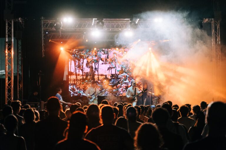 pubblico durante un concerto del SEI festival